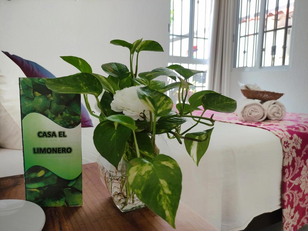 Casa El Limonero Apartment แคนคูน ภายนอก รูปภาพ